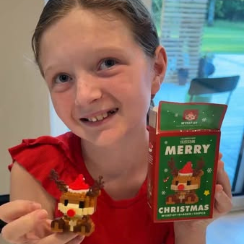 JuleByg™ | Skab julehygge sammen 🎄 Byg 12 figurer til familiens pynt