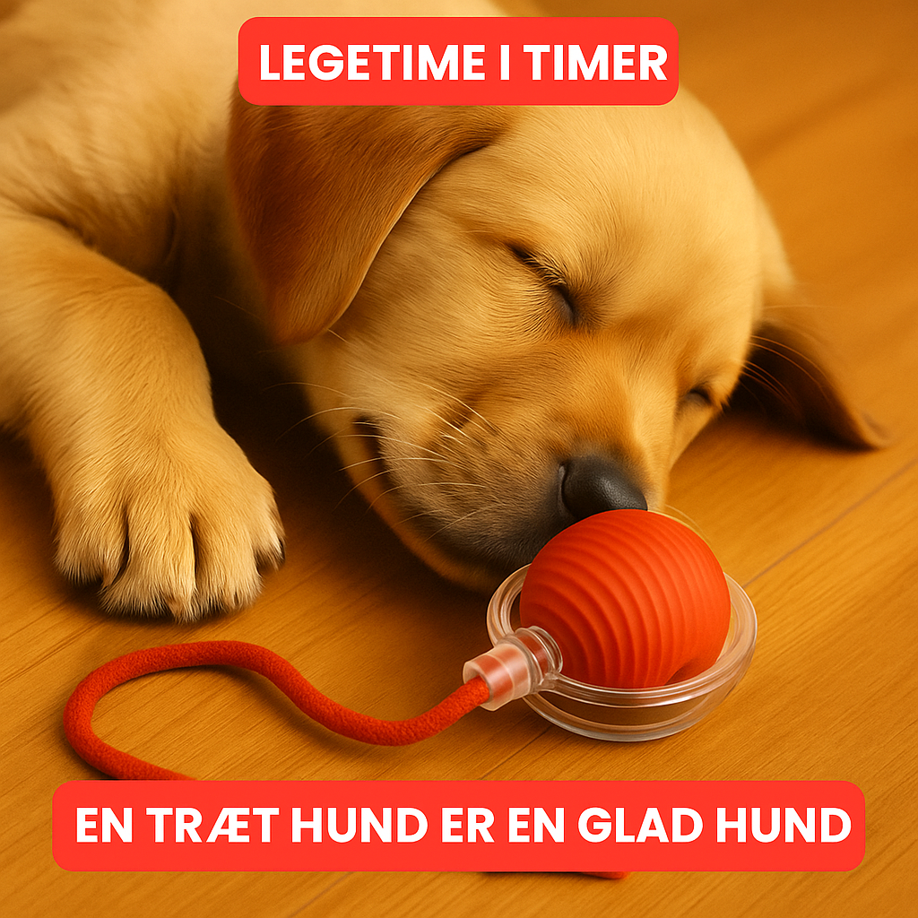 Rollox™ | Den smarte måde at berolige din hund naturligt