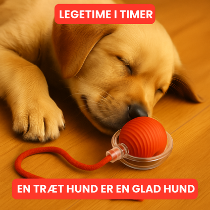 Rollox™ | Den smarte måde at berolige din hund naturligt